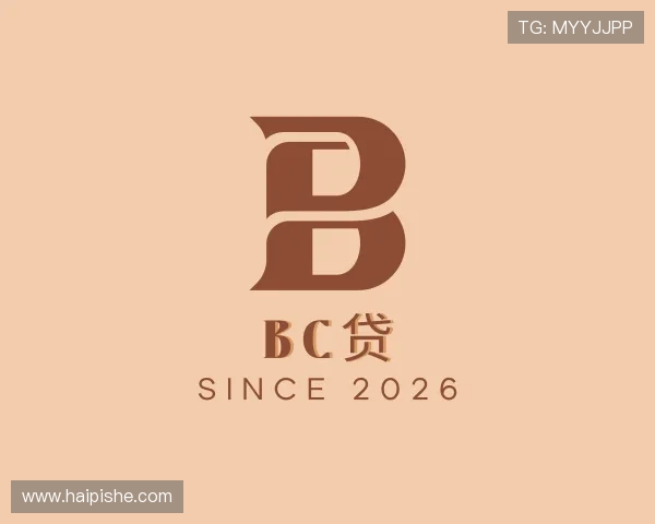 认识bc贷